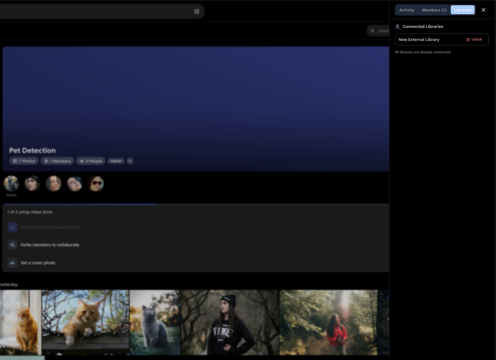 Connected Libraries panel in a Shared Space showing linked external library